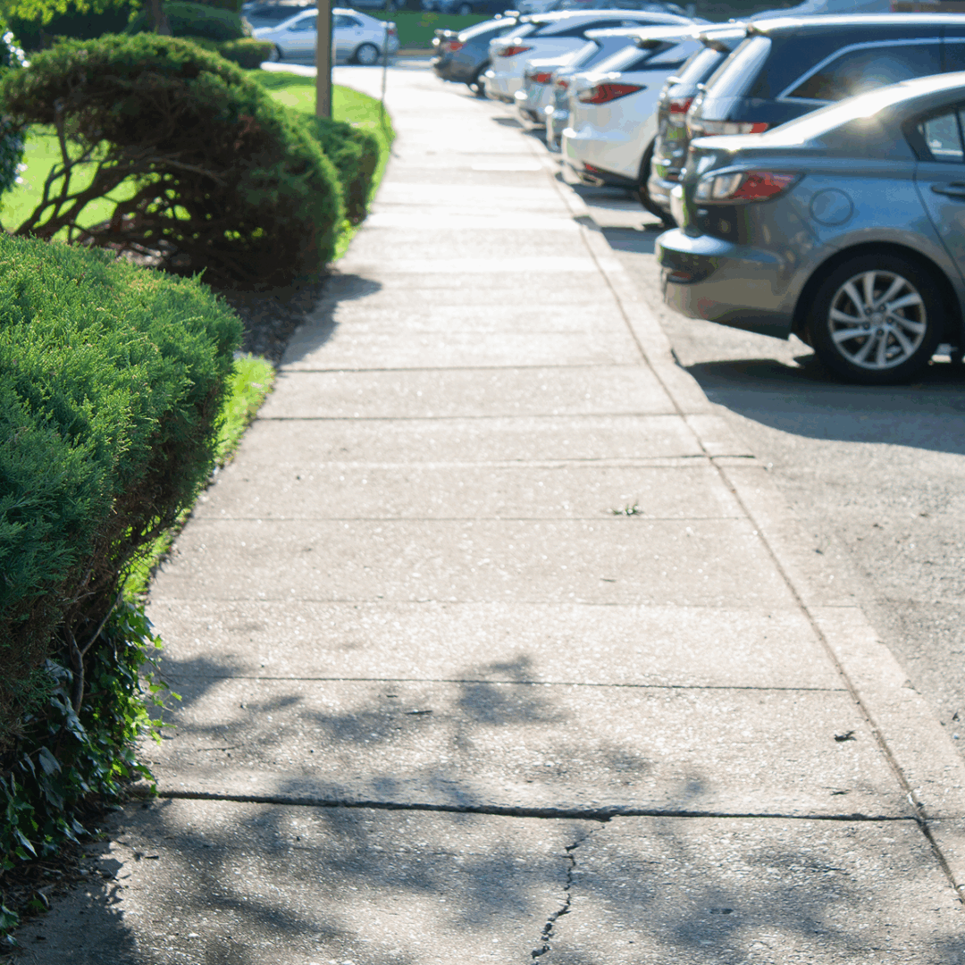 Sidewalk with parked cars and green bushes.